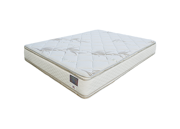ORTHO PEDIC